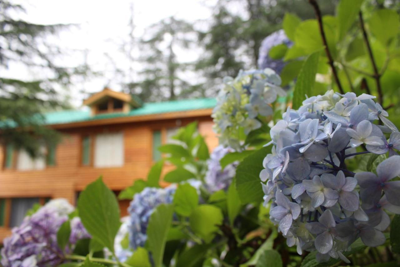Mary'S Cottages Manali  Ngoại thất bức ảnh